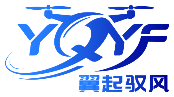 翼起驭风